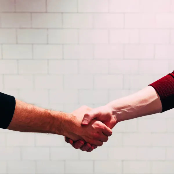 two people shake hands as partners