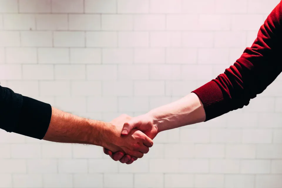 two people shake hands as partners